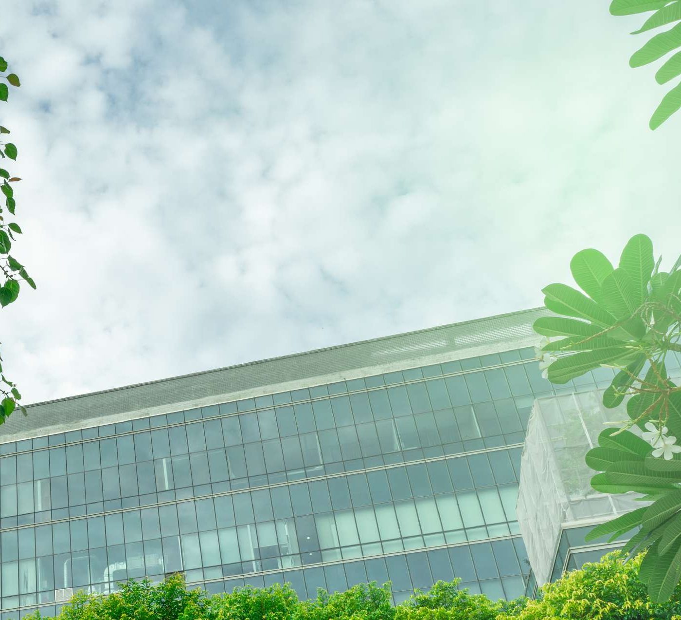 Glass office building framed by trees
